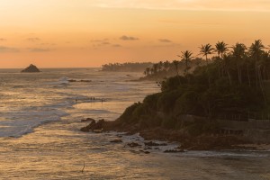 День 8. Выезд в аэропорт Коломбо. 