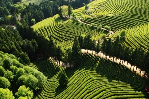 День 1. Прибытие в Сеул. 