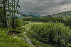 День 8. Целебный аржаан (источник) Хурегечи. Источник https://commons.wikimedia.org/wiki/File:%D0%9E%D0%B1%D1%80%D1%8B%D0%B2_%D1%83_%D0%B0%D1%80%D0%B6%D0%B0%D0%B0%D0%BD%D0%B0_%D0%A5%D1%83%D1%80%D0%B5%D0%B3%D0%B5%D1%87%D0%B8.jpg