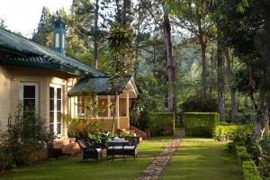 День 1. Ceylon Tea Trails.