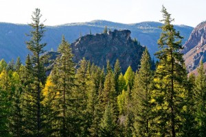 День 7. Белокуриха: свободное время, экскурсии, пантолечение (за дополнительную плату). Лицензия Pixabay License, автор stafichukanatoly
