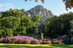 День 5. День для прогулок по городу или дополнительных экскурсий. Лицензия CC0 Creative Commons, автор jeanvdmeulen