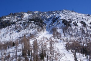 День 5. Артыбаш – Нижняя Катунь - Алтайское - Белокуриха. Лицензия Pixabay License, автор altwebga