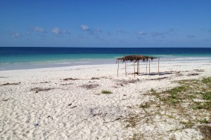 День 12. Отдых на берегу Индийского океана. Лицензия Pixabay License, автор ValeriaRodrigues