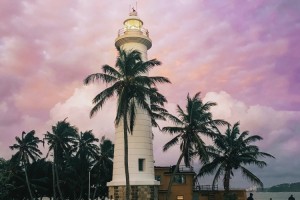 День 7. Яла – Гале (185 км – 3,5 часа в пути) – отель на южном побережье. Фото Shainee Fernando https://unsplash.com/