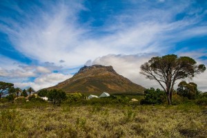 День 4. День для прогулок по городу или дополнительных экскурсий. Лицензия CC0 Creative Commons, автор vorsprung