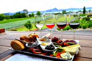 День 6. Круиз на Южный остров, винодельни и прогулка к колонии тюленей / 155 км. Лицензия CC0 Creative Commons, автор 3analytics